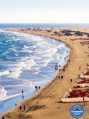 socorrismo-canarias-playa