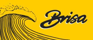 Socorristas-Gran-Canaria-Brisa